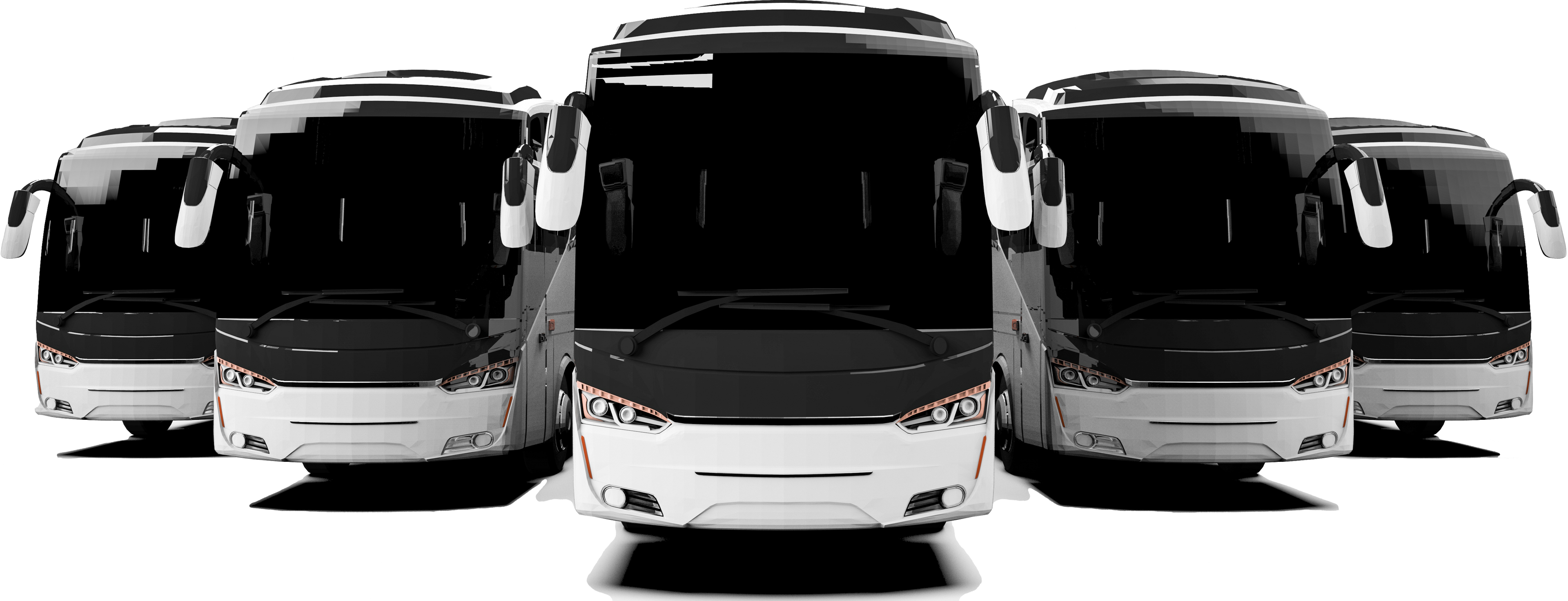 Bus Fleet